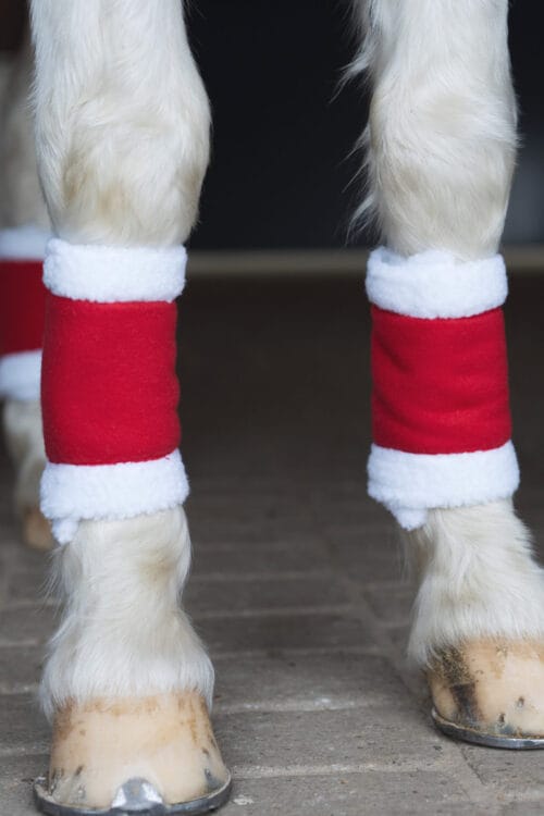 HorseGuard Jul benskydd HorseGuard Jul benskydd | VbridSport