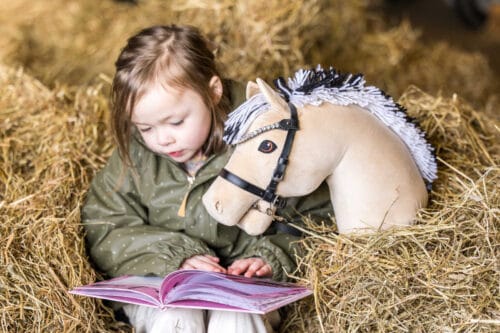 Alternative view of My Hobby Horse Träns, svart med silverstenar