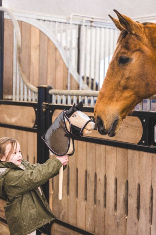Alternative view of My Hobby Horse Flugmask