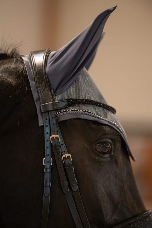 Alternative view of HorseGuard Milva Ridhuva