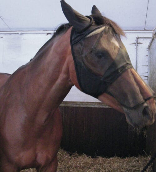 HorseGuard Insektsmask m. mulskydd