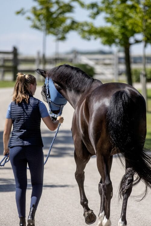 Alternative view of HorseGuard Insektsmask