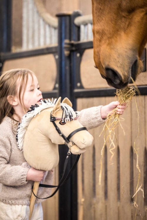 Alternative view of My Hobby Horse Pannband, svart med rosa stenar