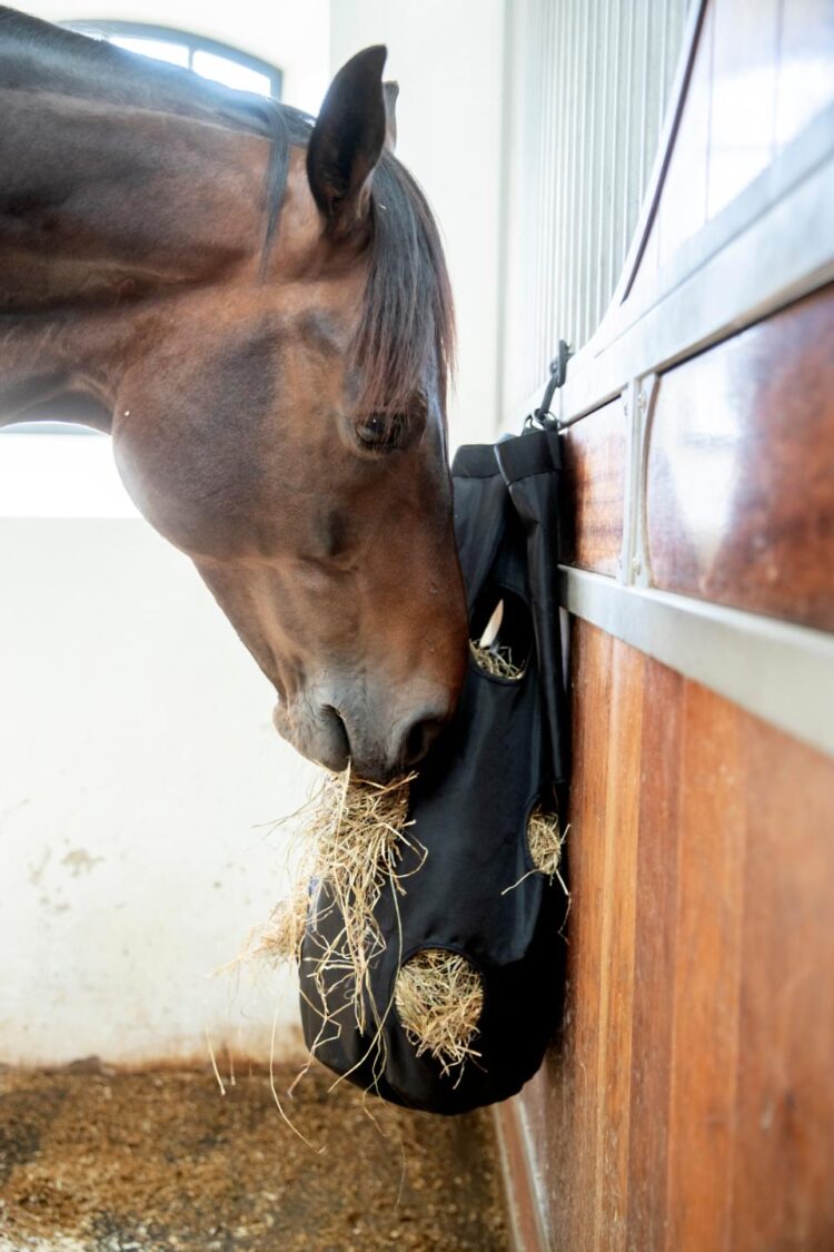 Alternative view of CATAGO Rund höpåse / hönät långsam utfodring