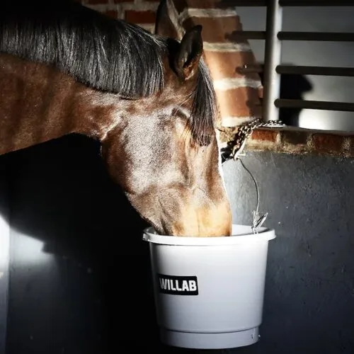 Alternative view of Willab Värmehink 20 L