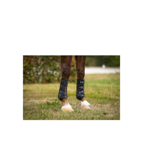 BR Senskydd Country Tech – Framben Benskydd | VbridSport