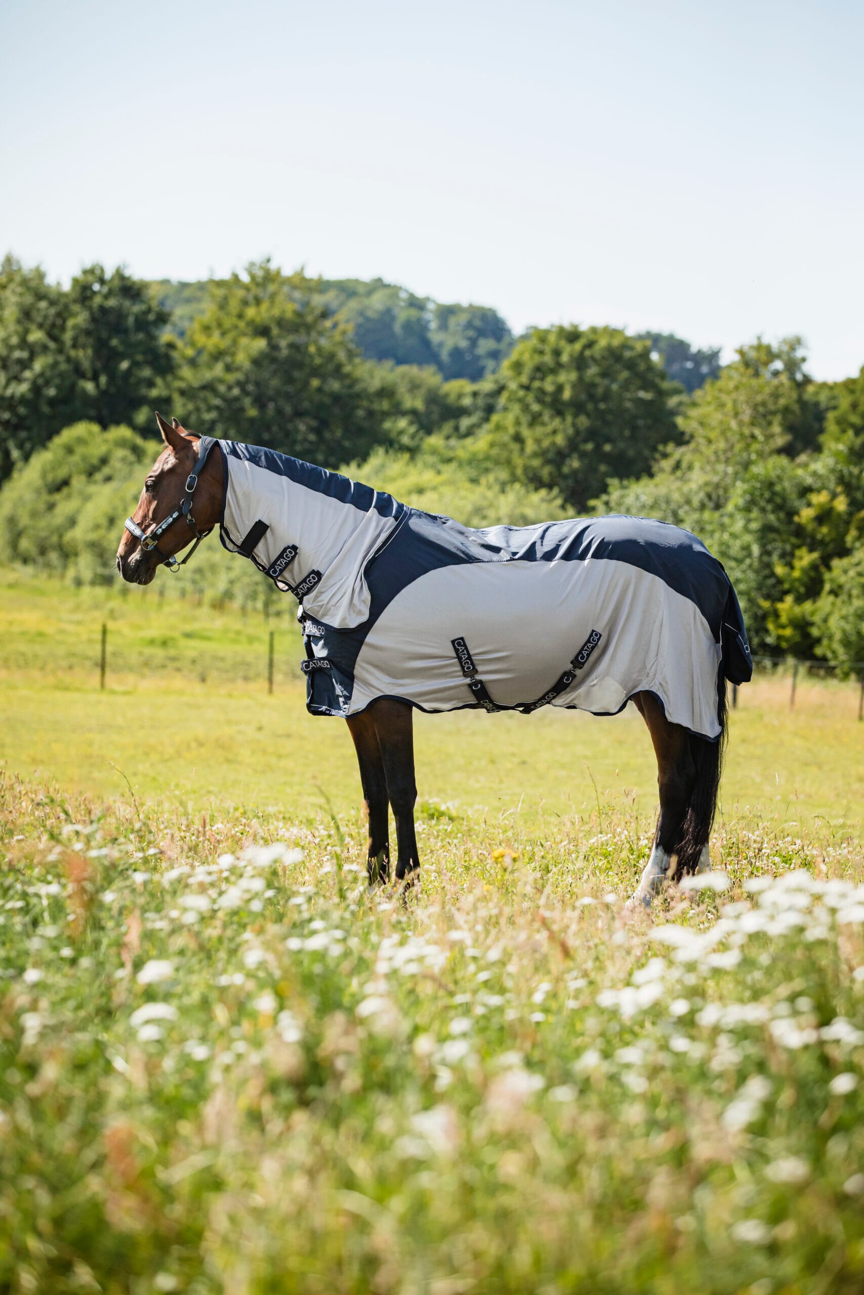 Catago Taylin Regn- och Flugt&auml;cke - 125 cm