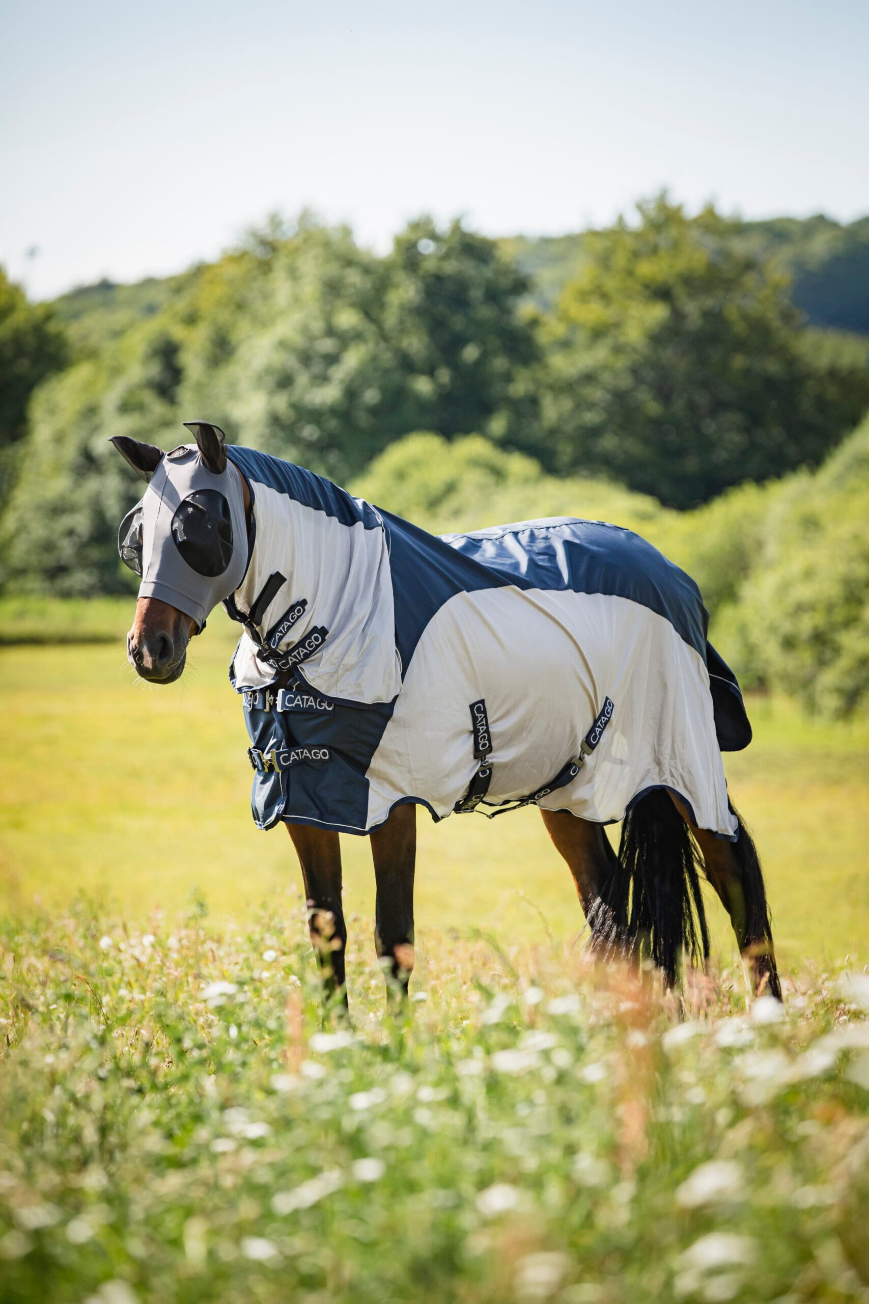 Catago Insektsmask/Flughuva - Gr&aring; - Pony