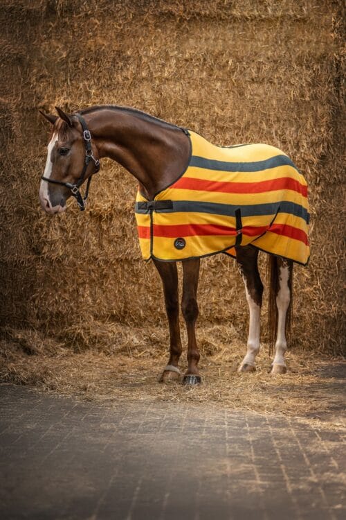 Alternative view of HKM Cooler Svettäcke – Professional Premium