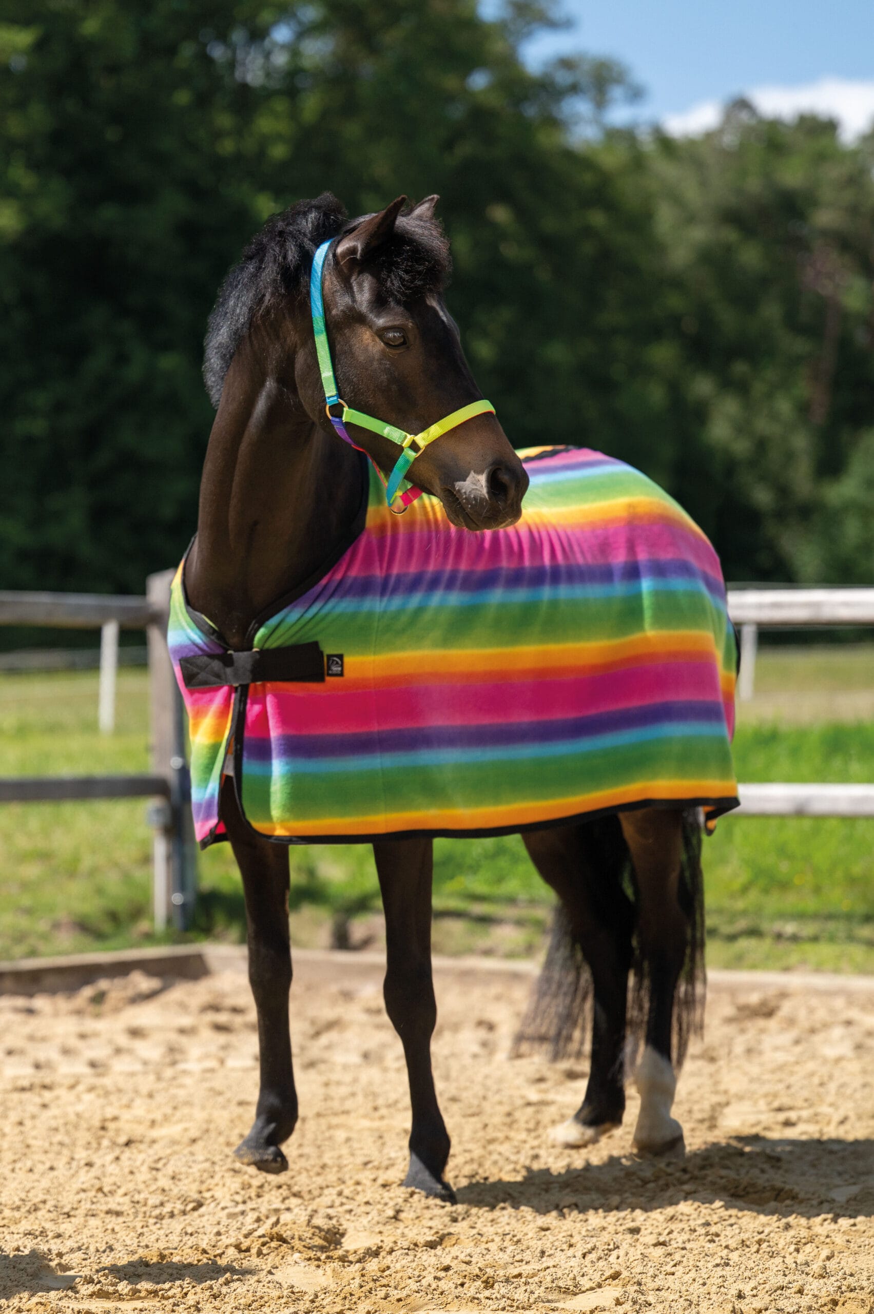 HKM Cooler Svett&auml;cke &ndash; Rainbow &ndash; Shetland - 75 cm