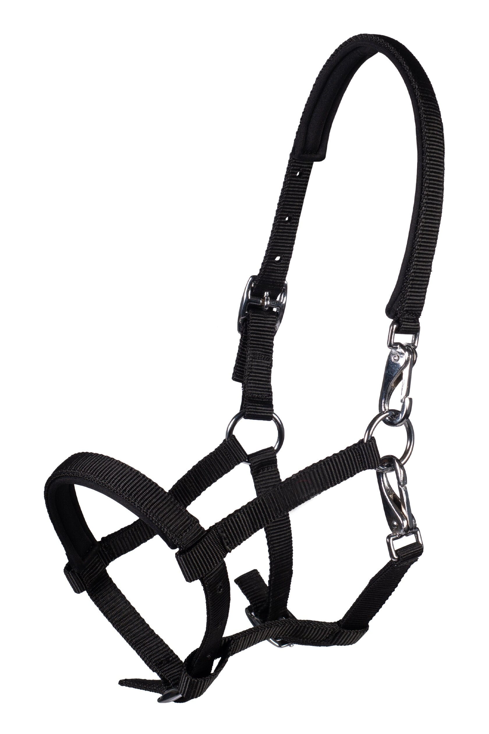 HKM Fölgrimma – Millie