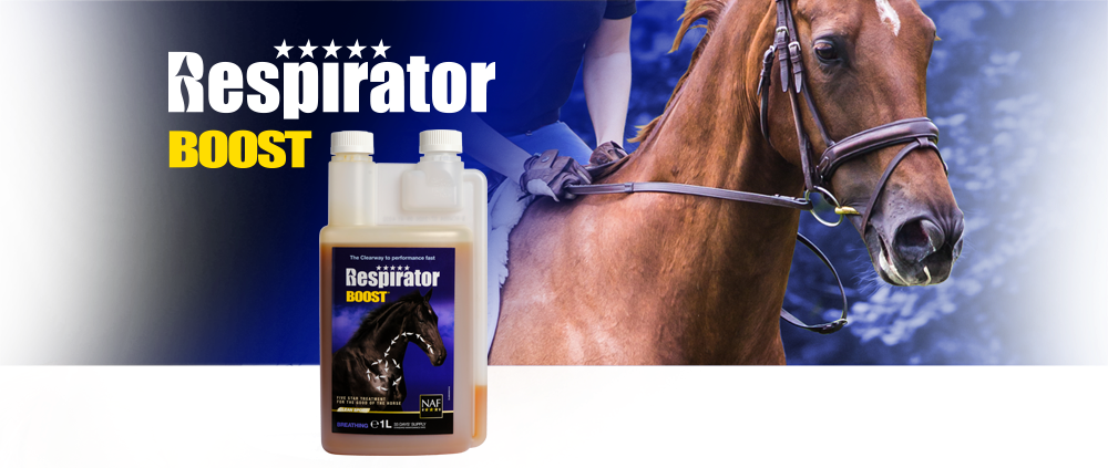 VB Ridsport Startsida ridsportbutik | VbridSport