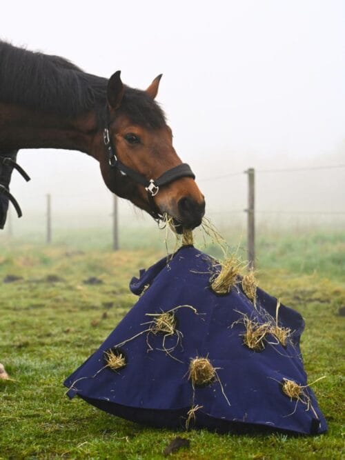 Horse Guard Pillow Höpåse Slow Feeder 75 x 95 cm