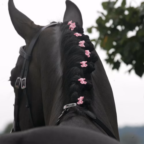Hansbo Sport Manrosetter 20-pack