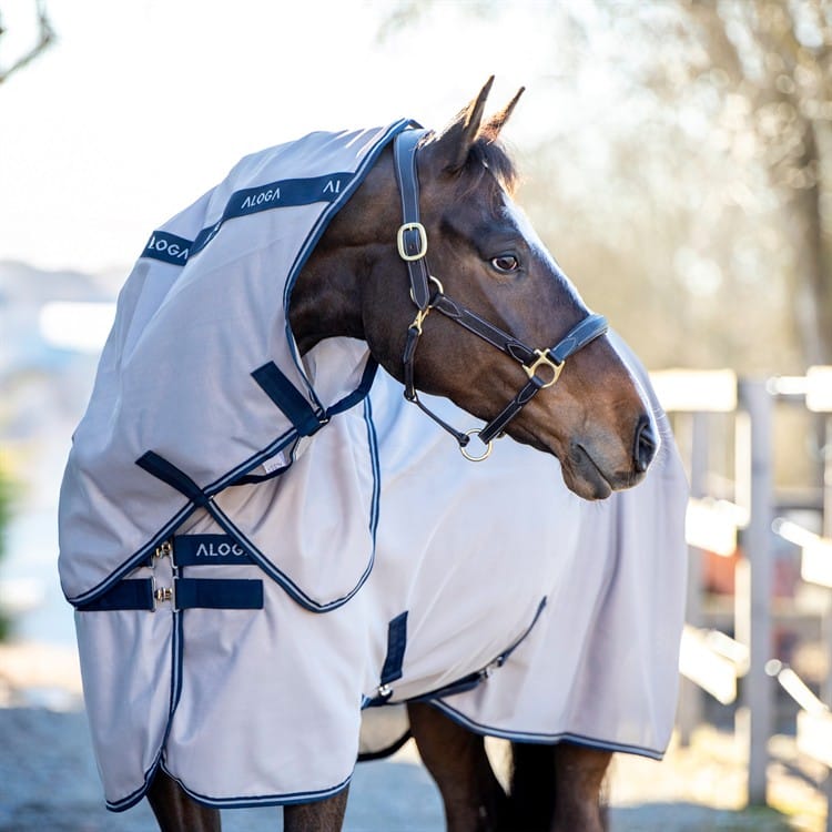 Aloga Equestrian - Flugt&auml;cke - 125 cm
