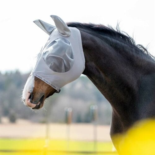 Aloga Equestrian - Flugmask