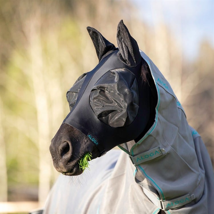 Aloga Equestrian - Flugmask - Bild 6