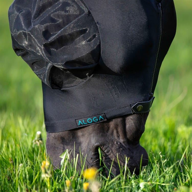 Aloga Equestrian - Flugmask - Bild 5