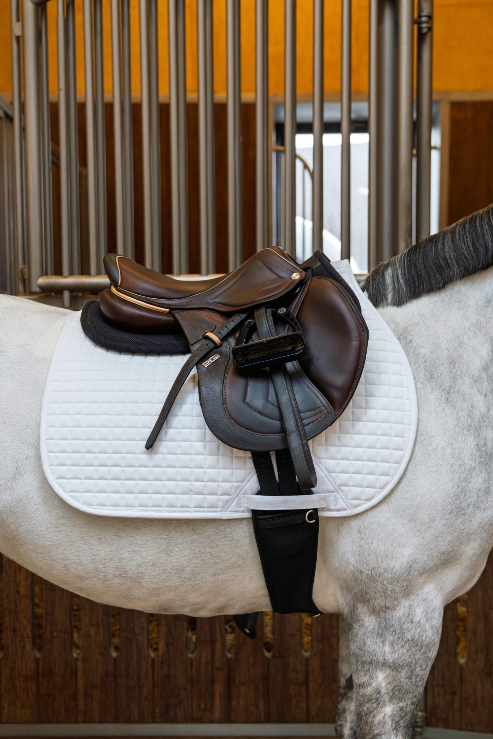 HorseGuard Elmira Schabrak Dressyr - Vit , 16 tum