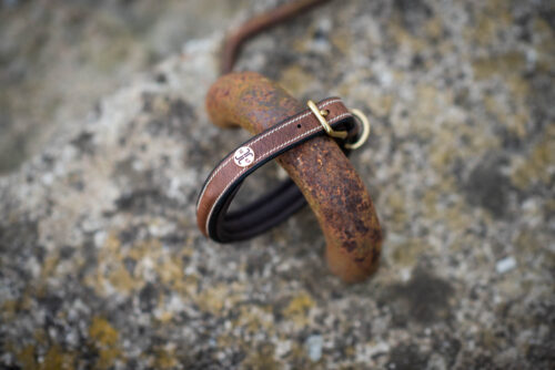 Jacson Arezzo Hundhalsband - Bild 4