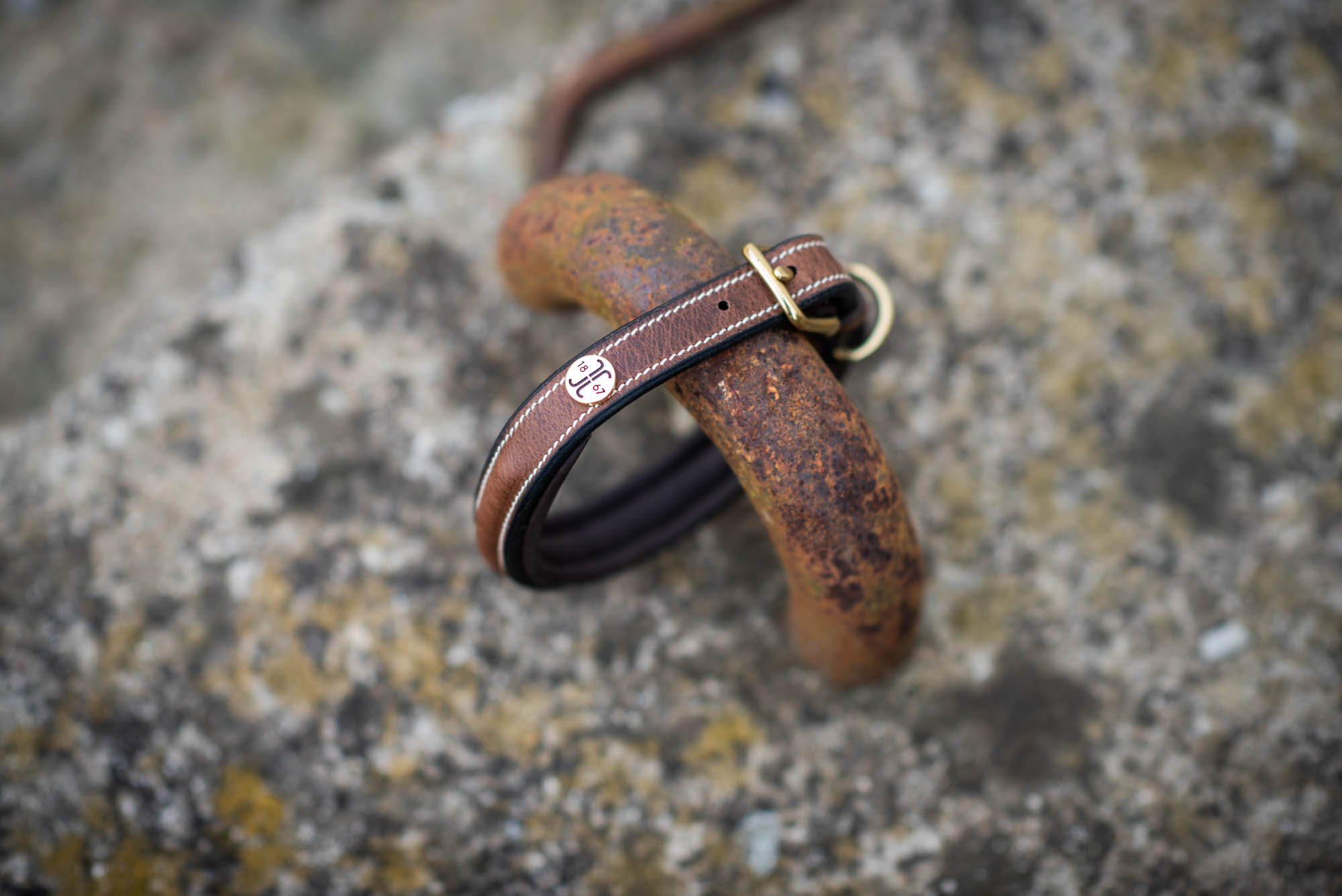 Jacson Arezzo Hundhalsband - Bild 4