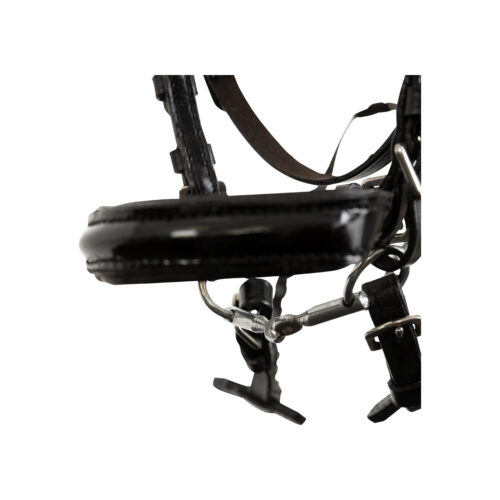 Alternative view of BR Hobbyhorse Träns