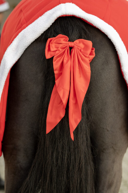 Alternative view of Horse Guard julbåge Röd