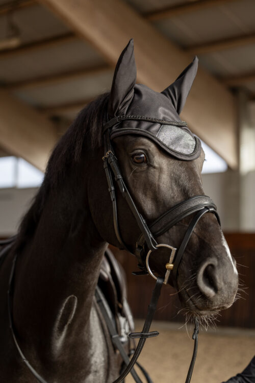 Alternative view of Horse Guard Waco ridhuva