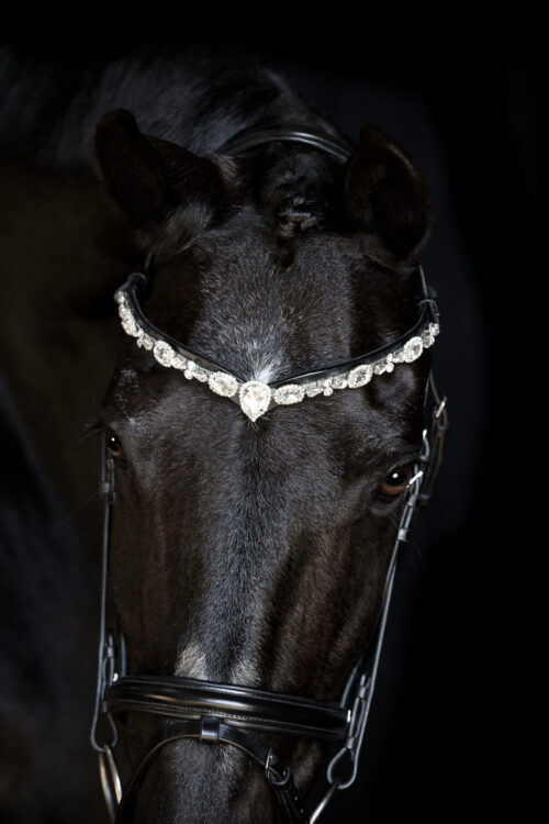 Alternative view of Horse Guard Sunnywale pannband