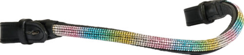 Horse Guard Rainbow pannband