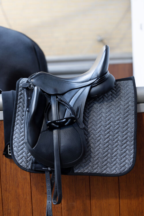 Horse Guard Waco dressyrschabrak