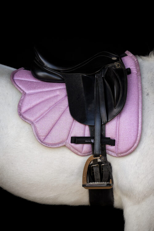 Alternative view of Horse Guard Wing allroundschabrak