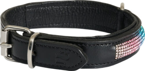 Horse Guard Rainbow hundhalsband